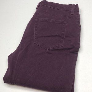 LIKE NEW GLORIA VANDERBILT HIGH RISE PURPLE DRESS JEANS 10/30x28 ⭐